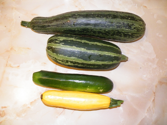 Zucchini, Various Colors and Flavors