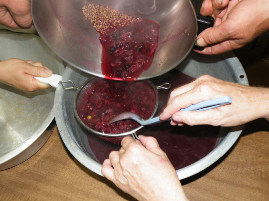 Straining out the Pulp and Seeds