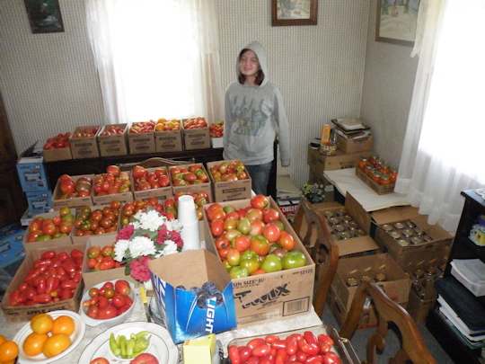 Jessica Looking at a Lot of Tomatoes