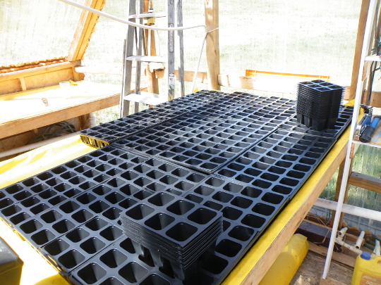 New Planting Cells